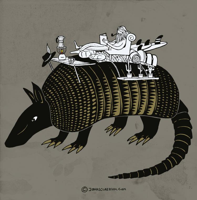 Armadillo Adventure