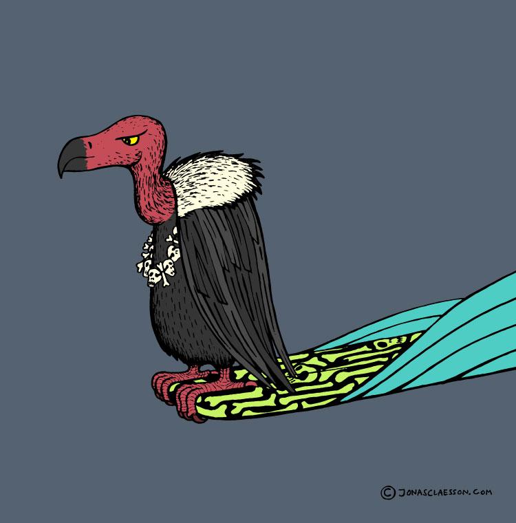 Surfing Vulture