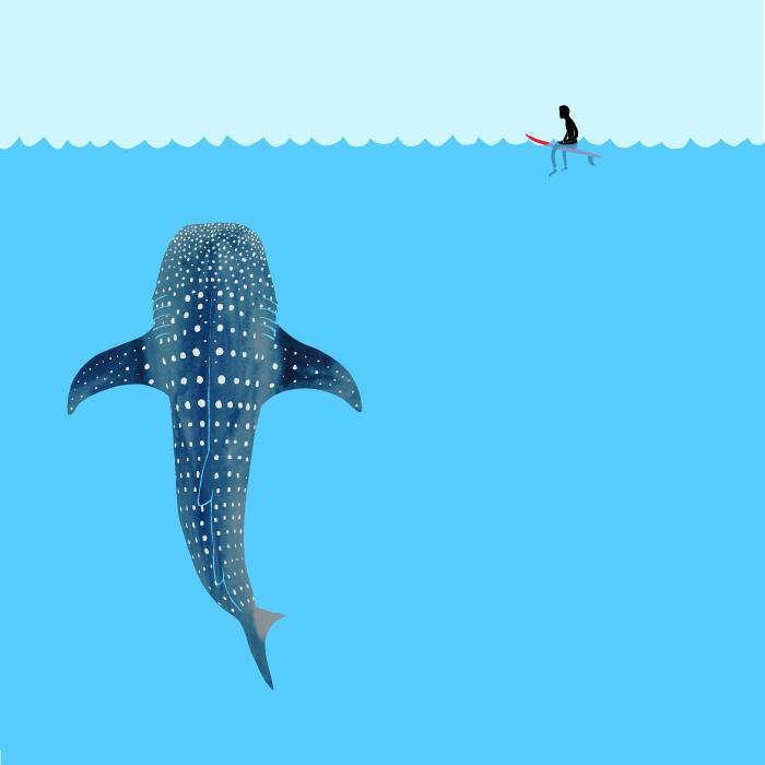 Jonas Claesson＞WHALE SHARK アート - メルカリ ＜Jonas Claesson