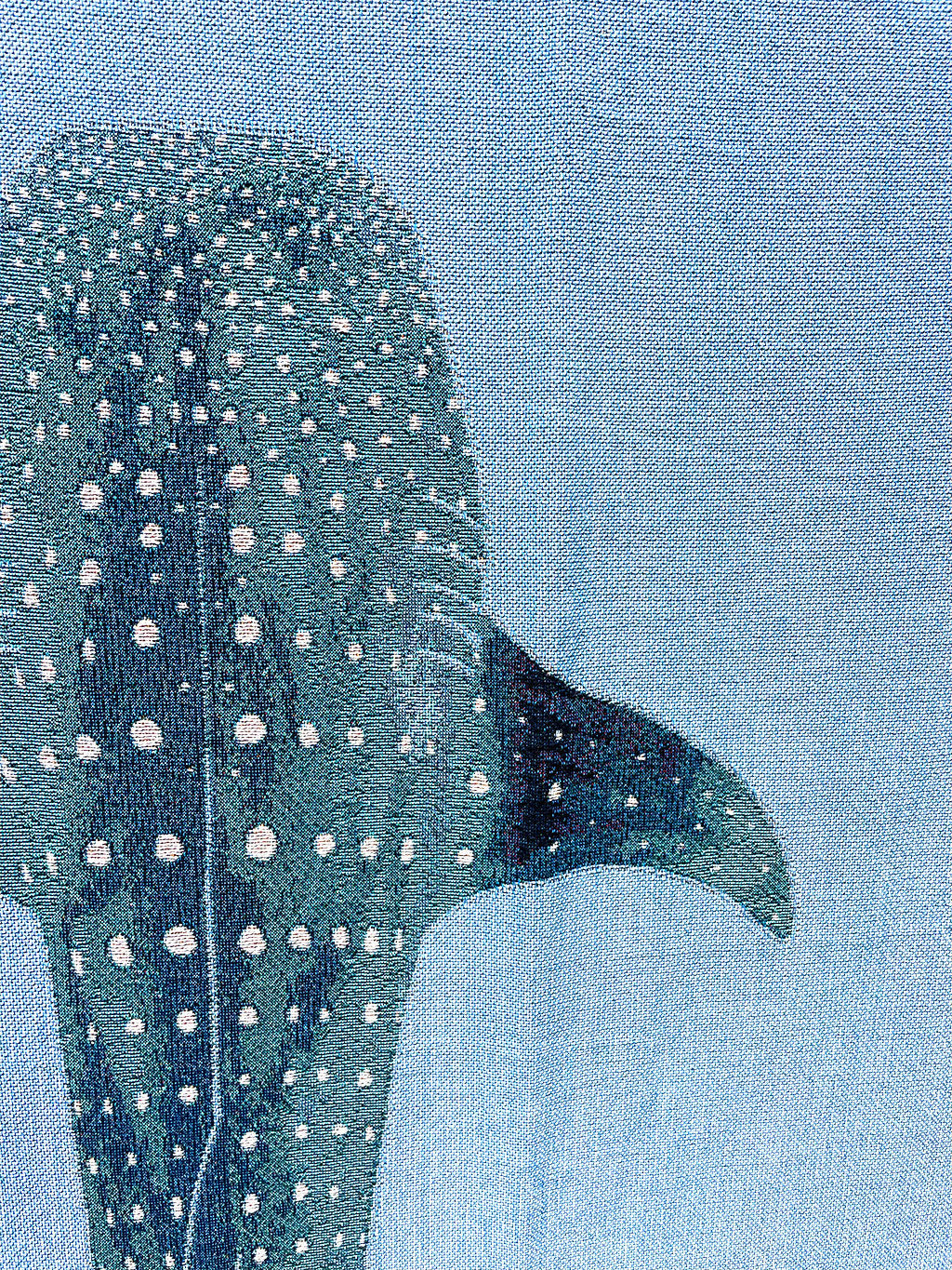 
                  
                    Whale Shark Woven Blanket
                  
                