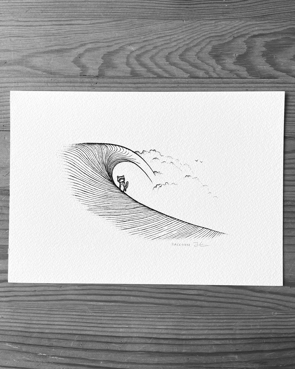 Raccoon Barrel. Original illustration - SOLD OUT
