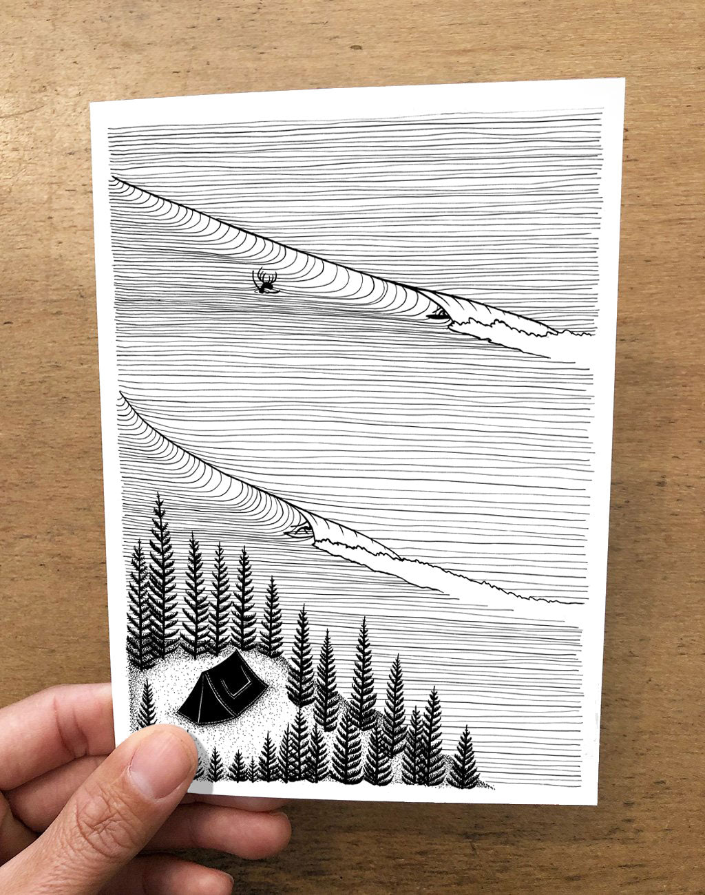 Secret Spot Folded Card Pack