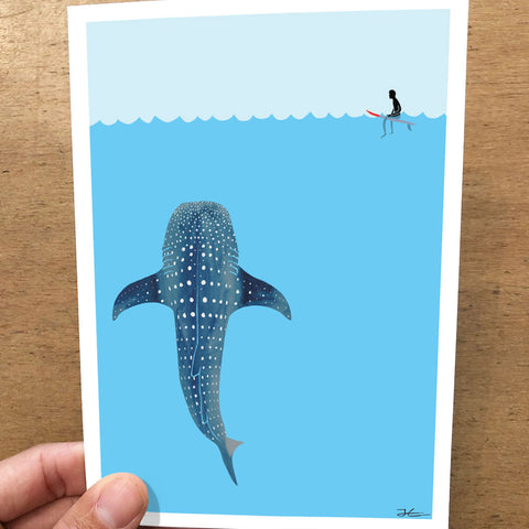 Whale Shark Folded Card Pack