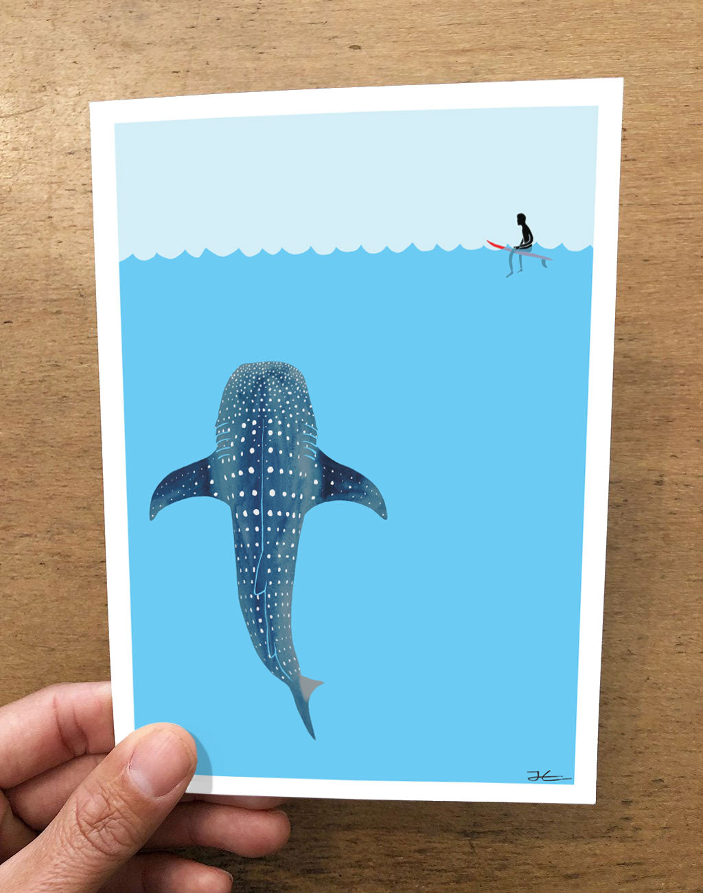 Whale Shark Folded Card Pack