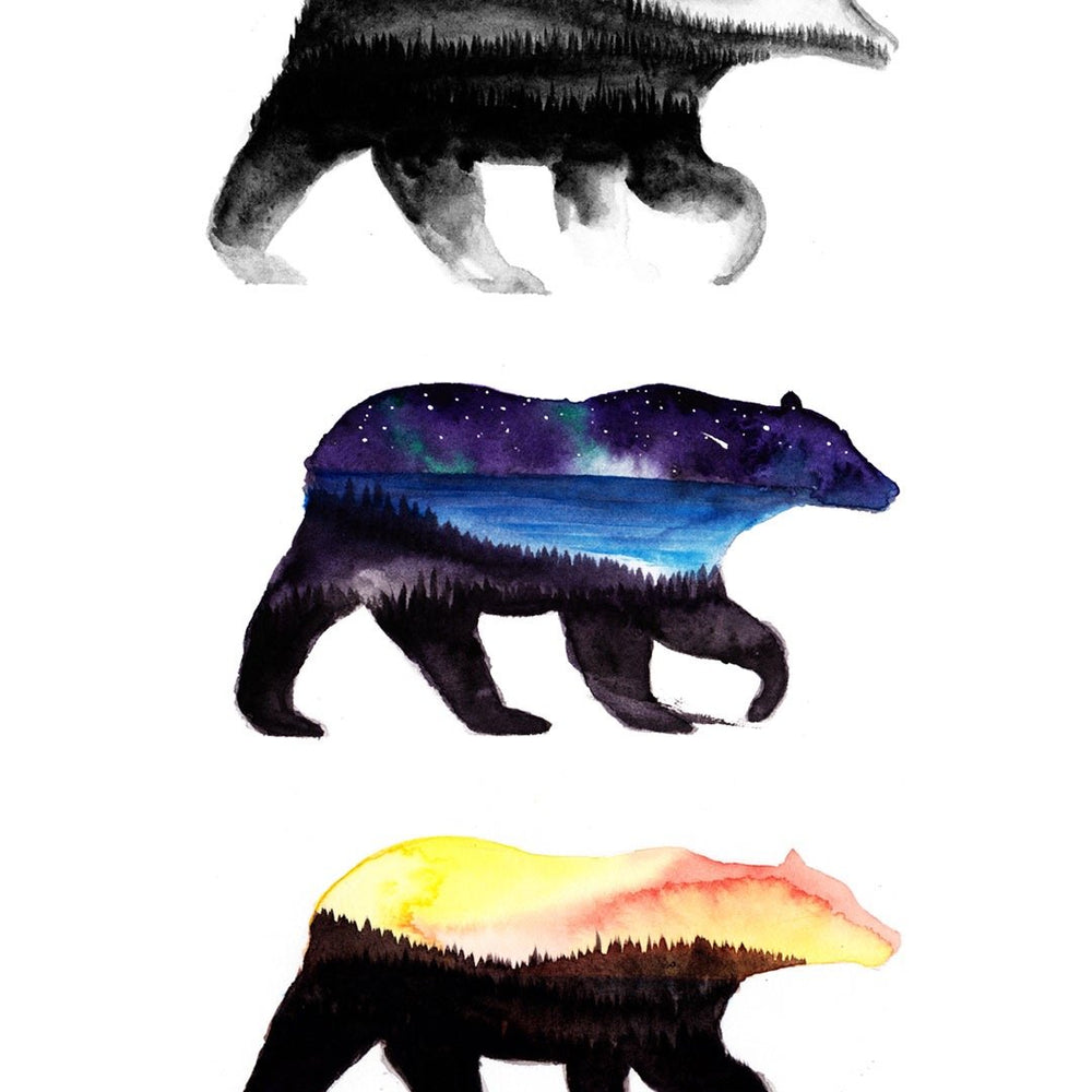 3 Bears