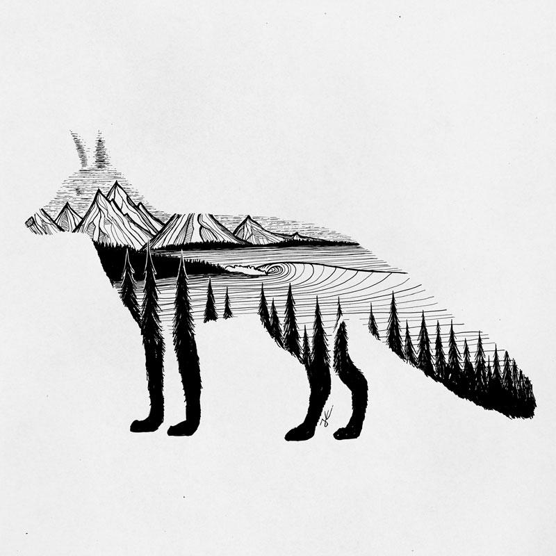Fox Dreams