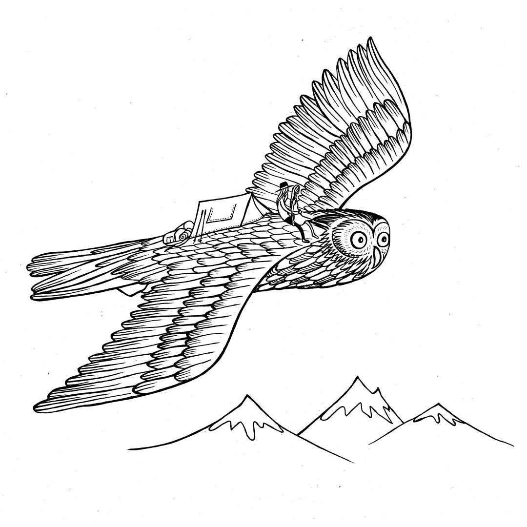 Owl Adventures with Keen