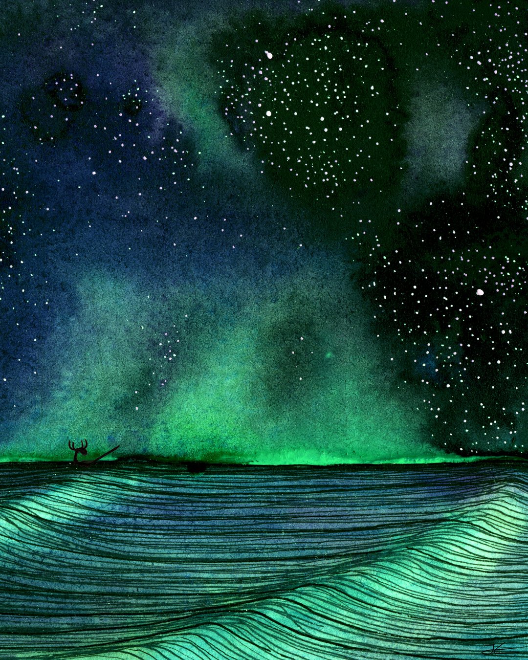 Night Show