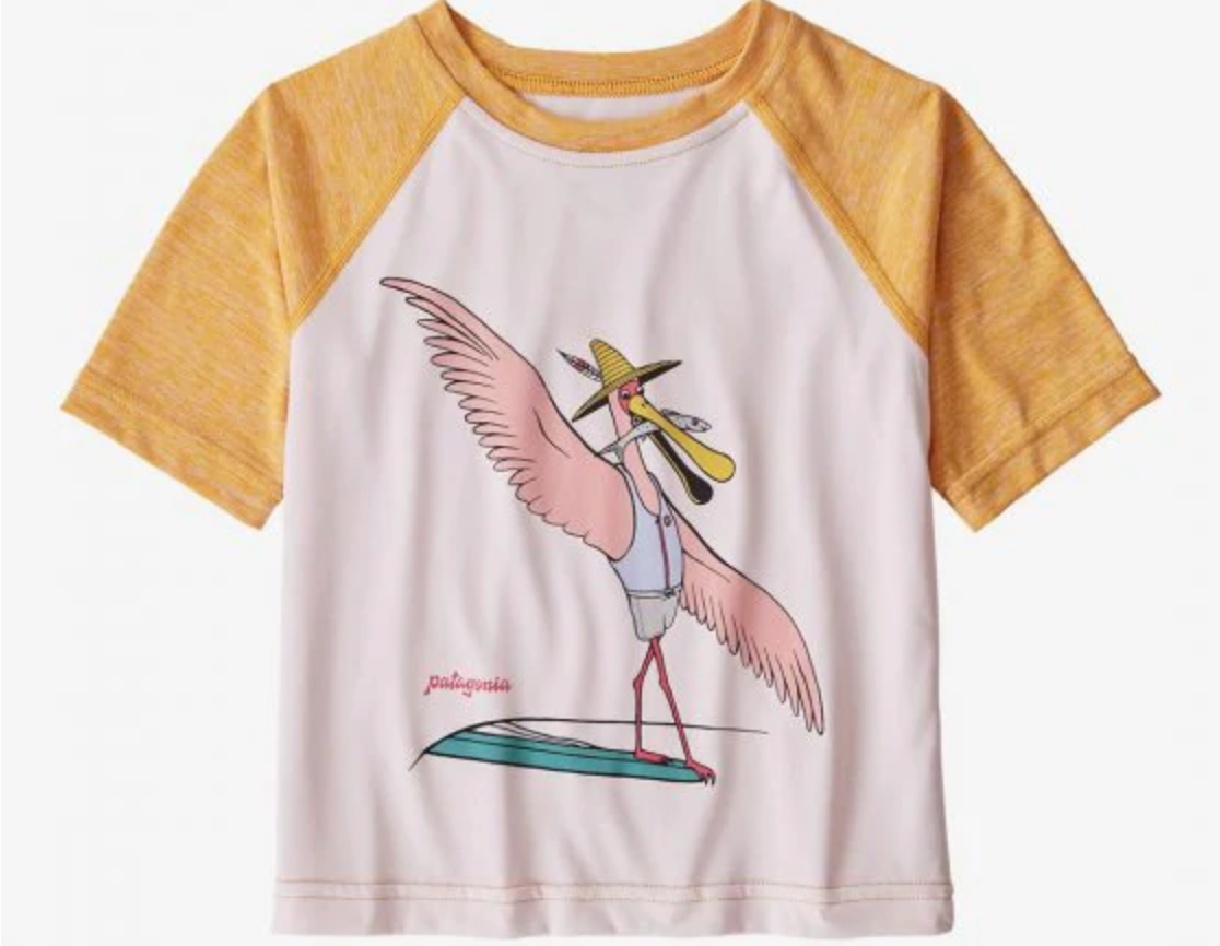 Patagonia Spoonbill