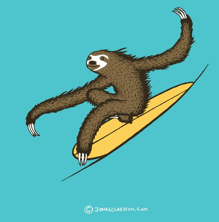 Surfing Sloth