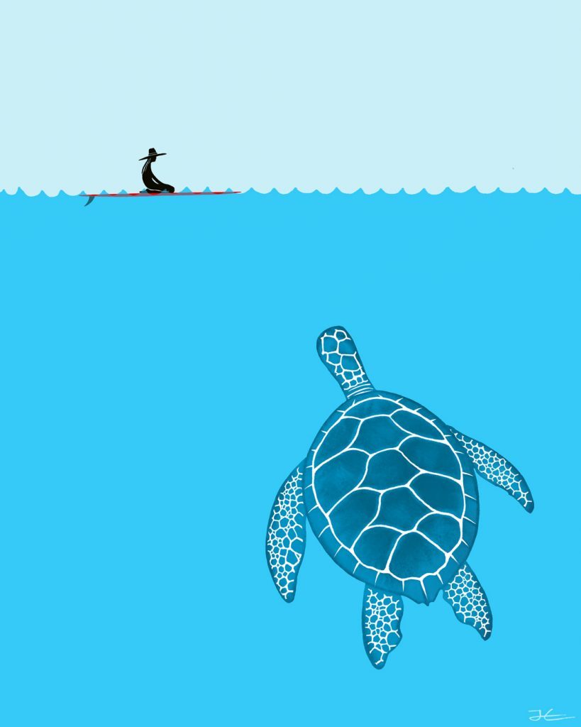The Blue Turtle