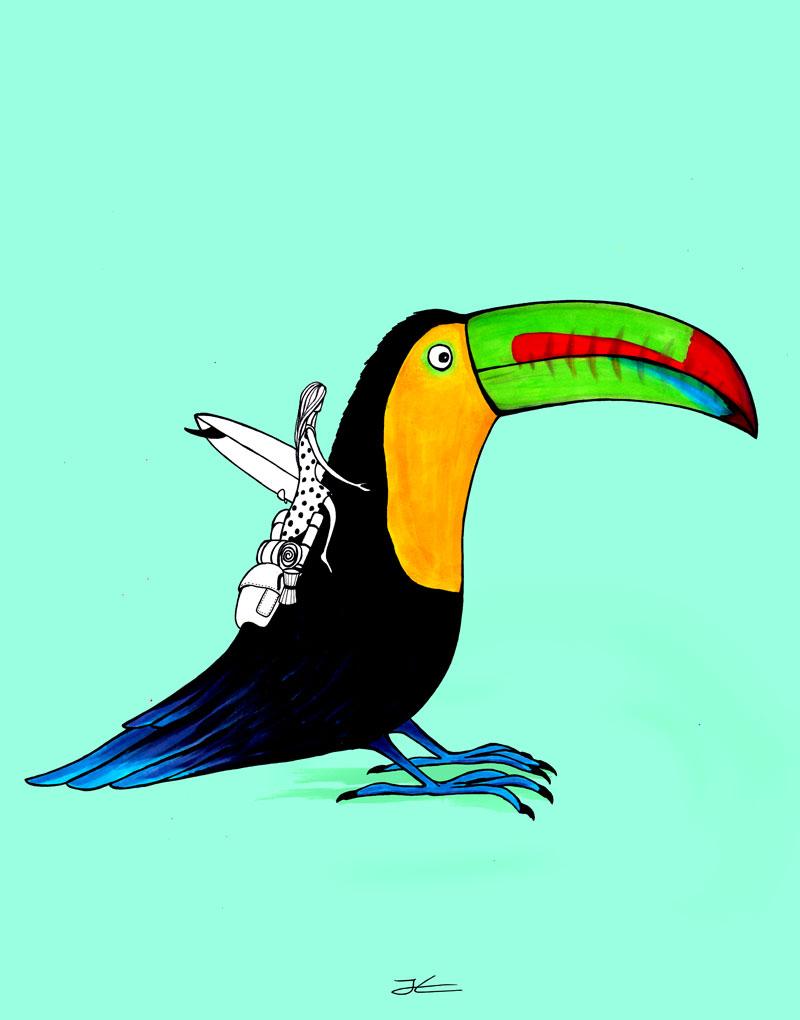 Toucan Surfari