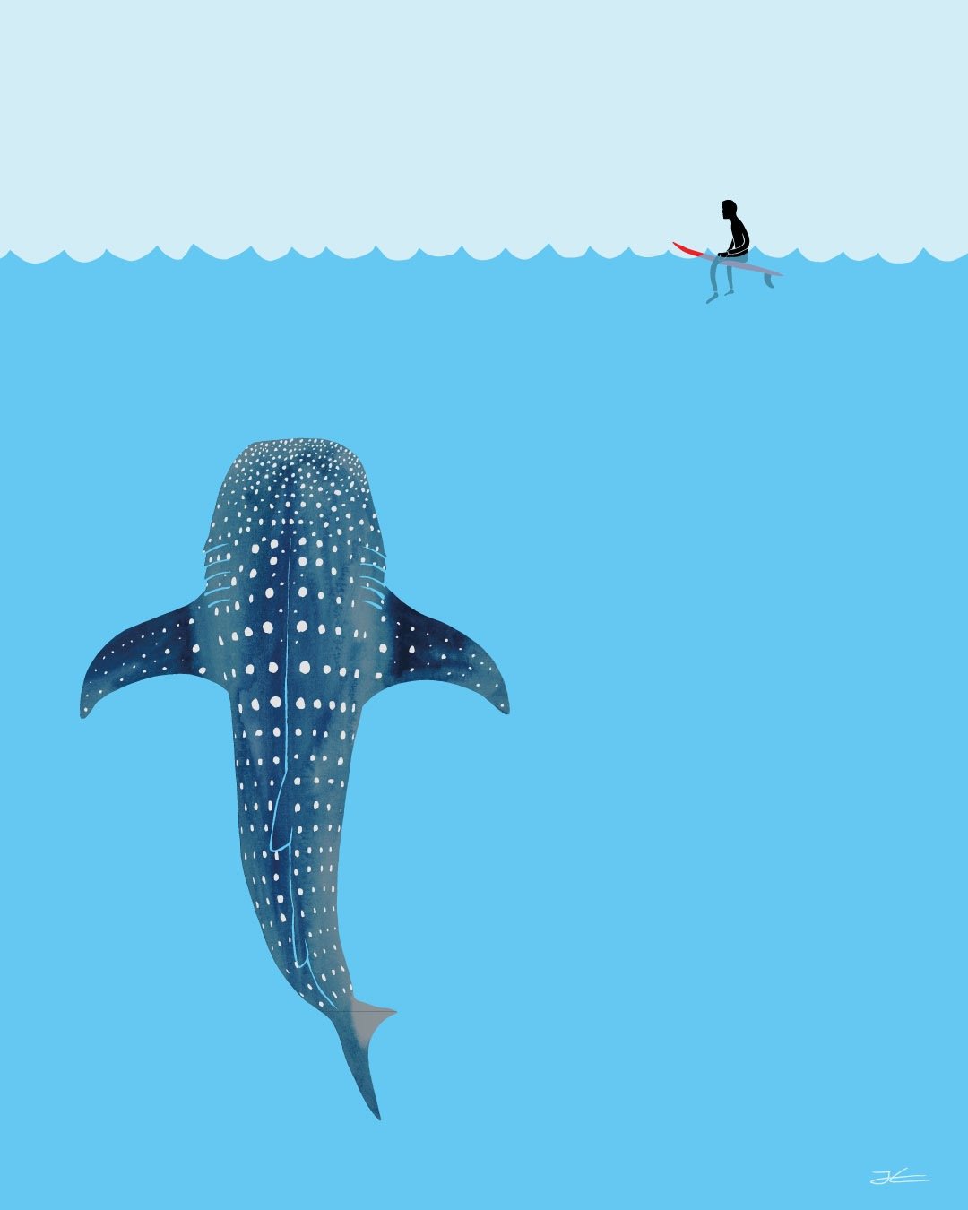 Whale Shark