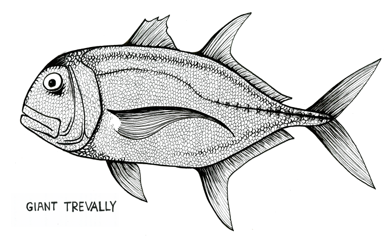 Giant Trevally