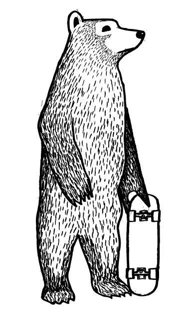 Skate Bear Illustration