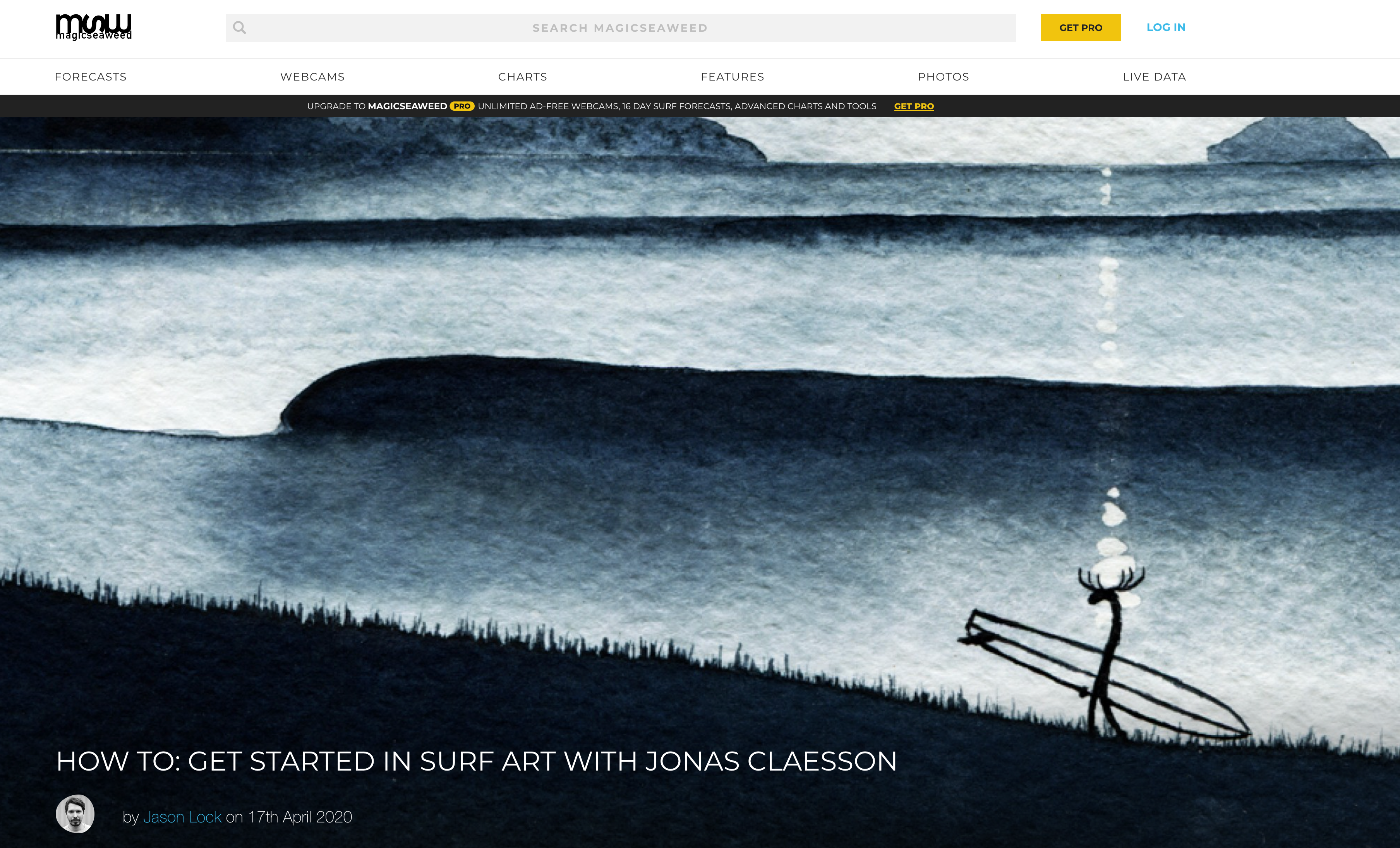 MAGICSEAWEED Interview