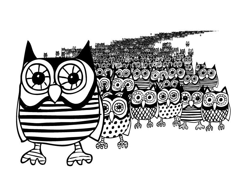 Owl migration