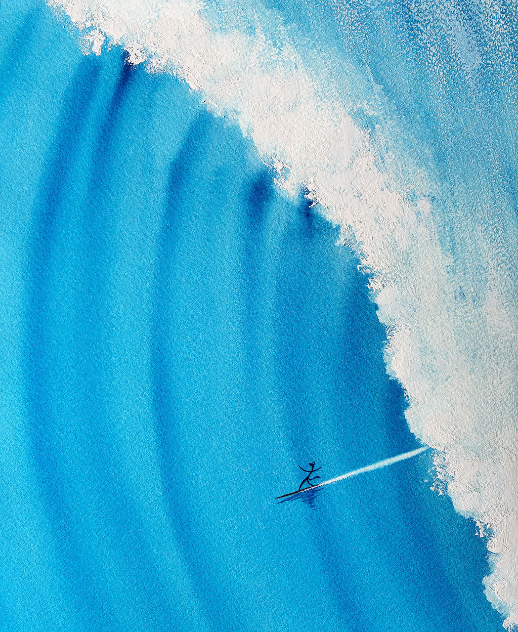 Animal Chargers - Wave 1. Original signed illustration