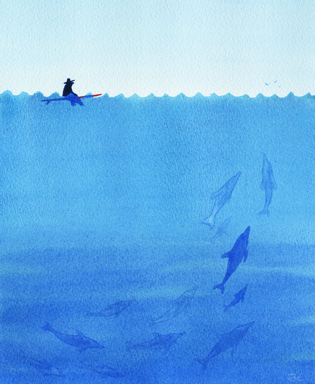 Dolphins - Print/ Framed Print