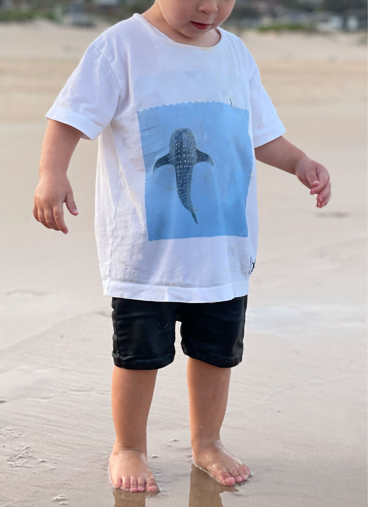Whale Shark Kid's T-Shirt