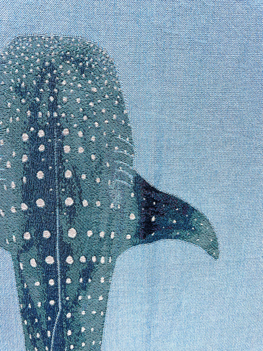 Whale Shark Woven Blanket