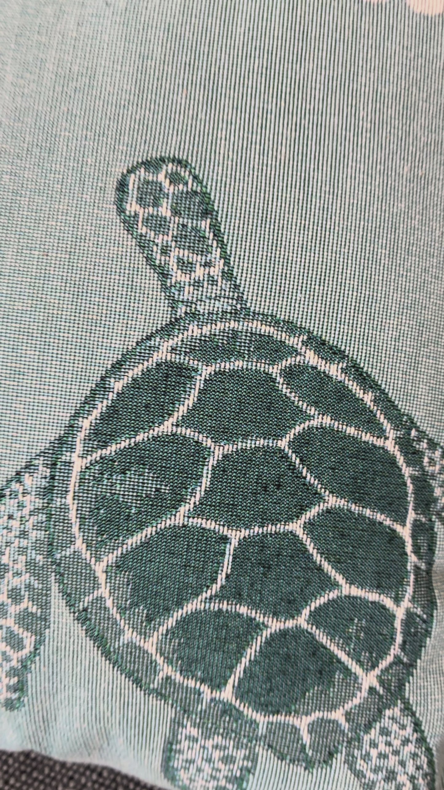 The Blue Turtle Woven Pillow