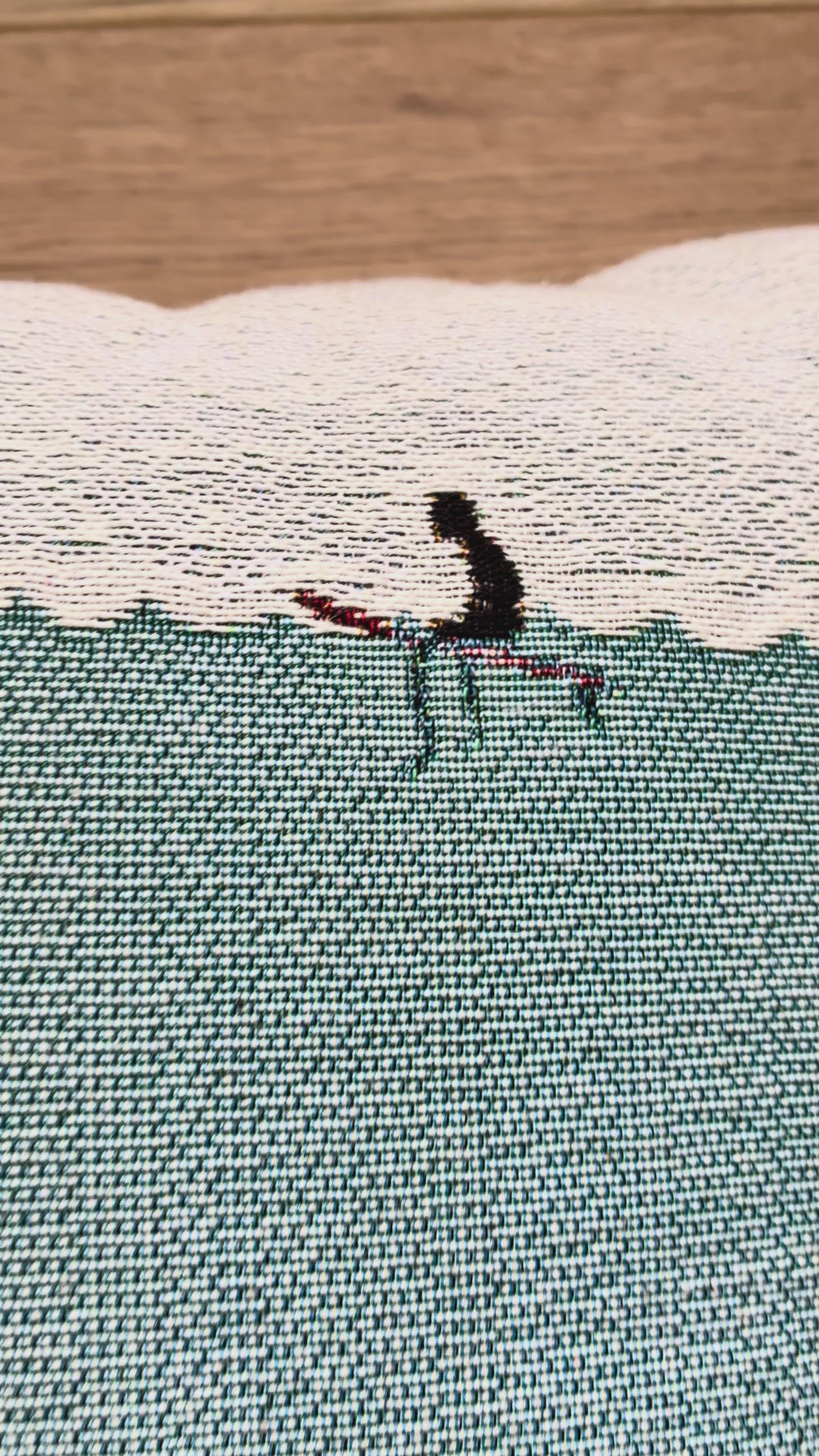 Whale Shark Woven Pillow