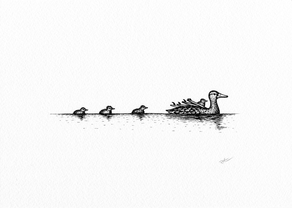 Inktober Ducks. Original illustration - SOLD OUT