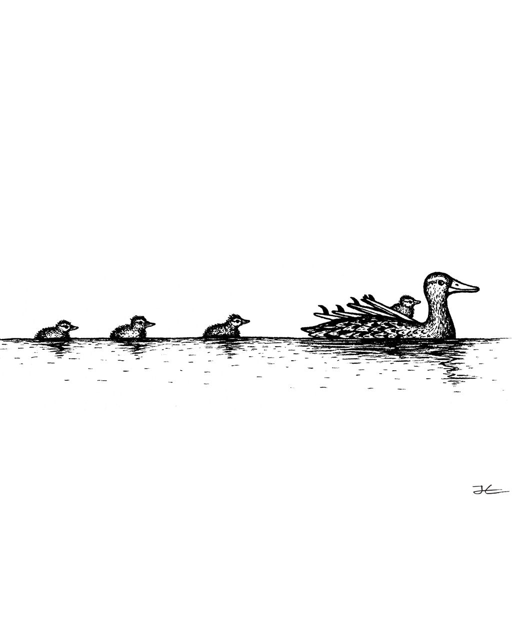 Inktober Ducks - Print/ Framed Print