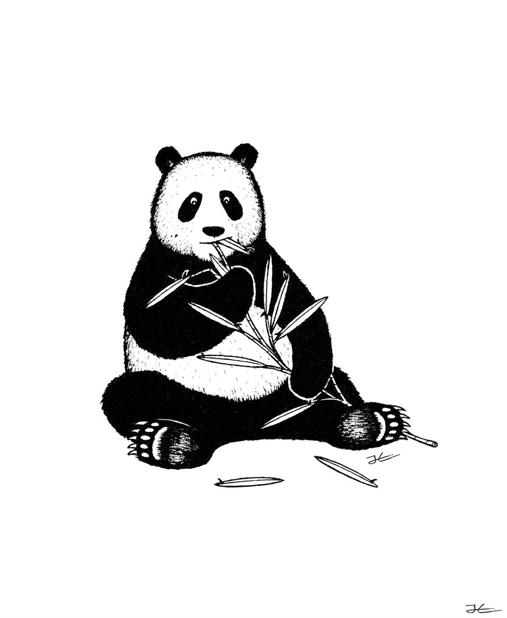 Inktober Panda - Print/ Framed Print