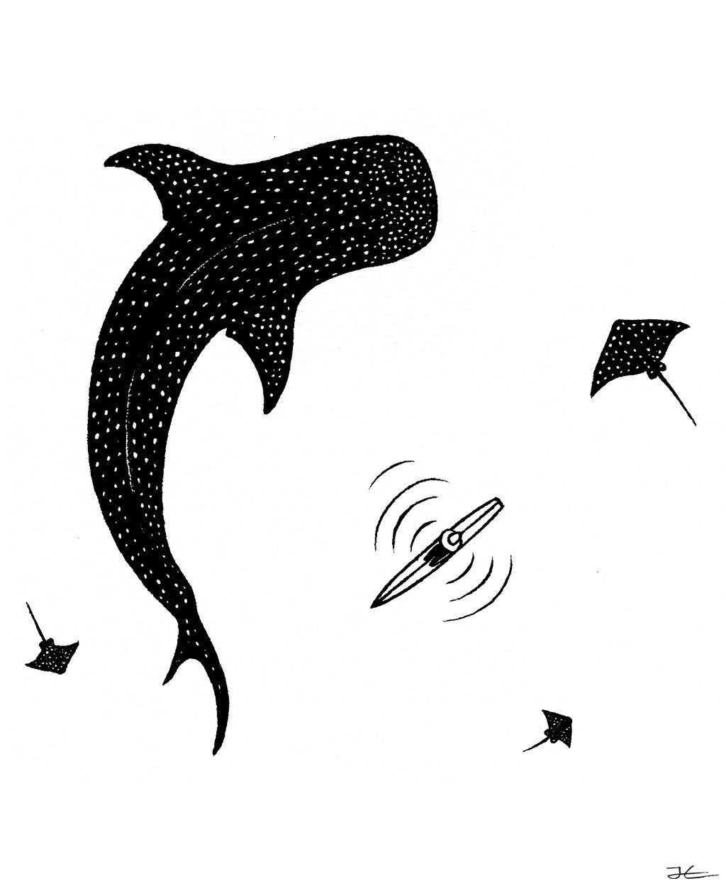 Whale Shark – Grasshopper's Mermaid