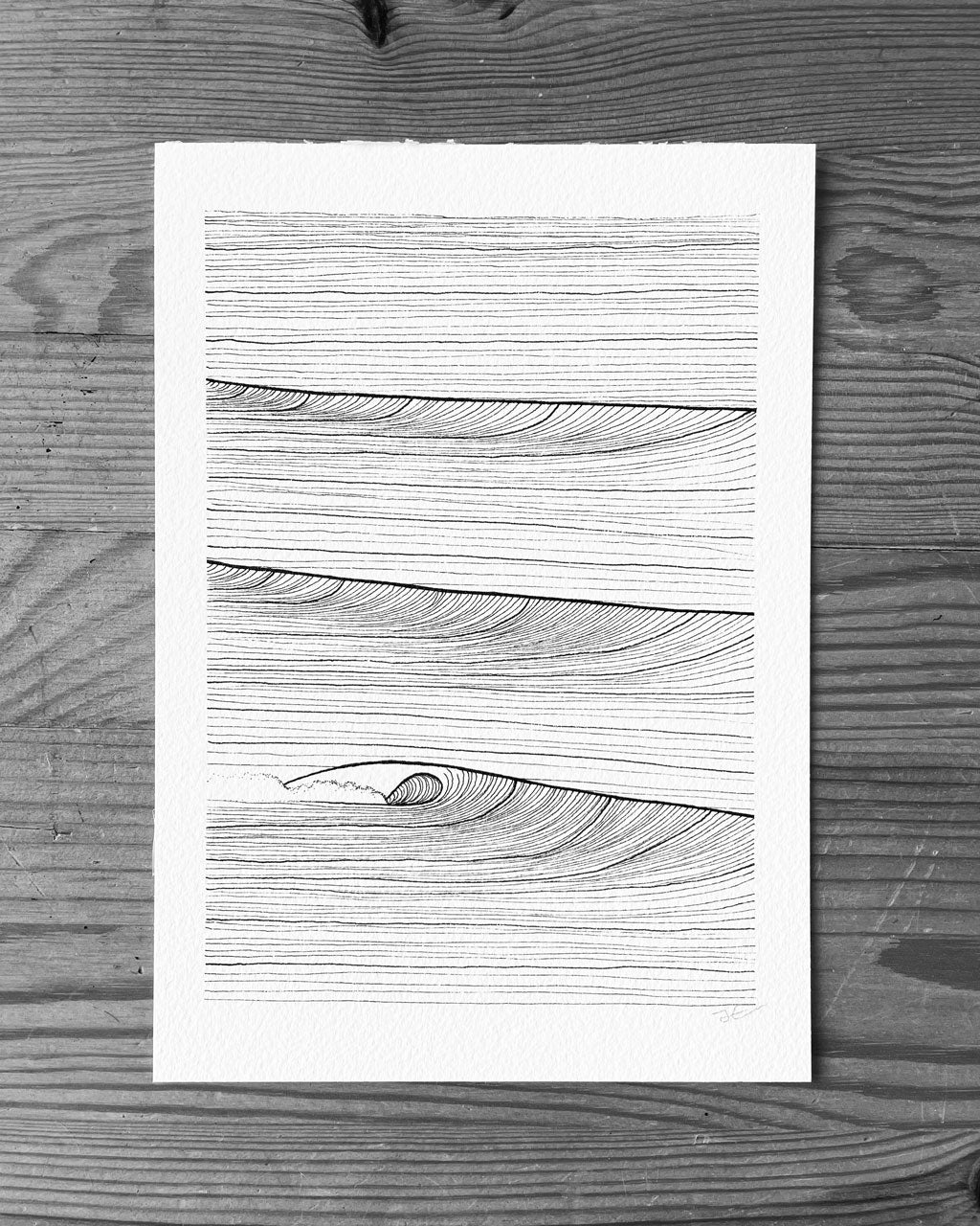 Lineup. Original illustration - SOLD OUT