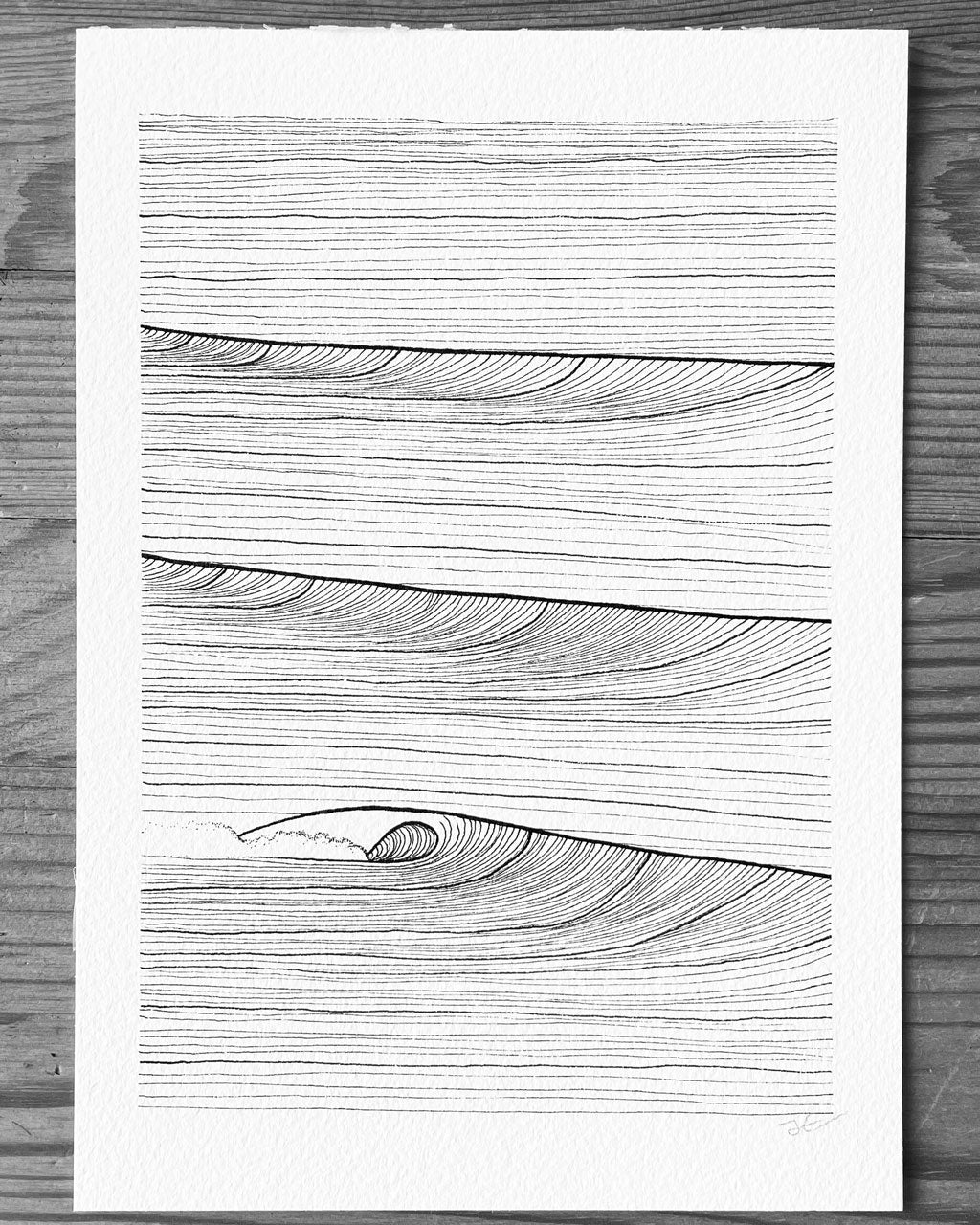 Lineup. Original illustration - SOLD OUT