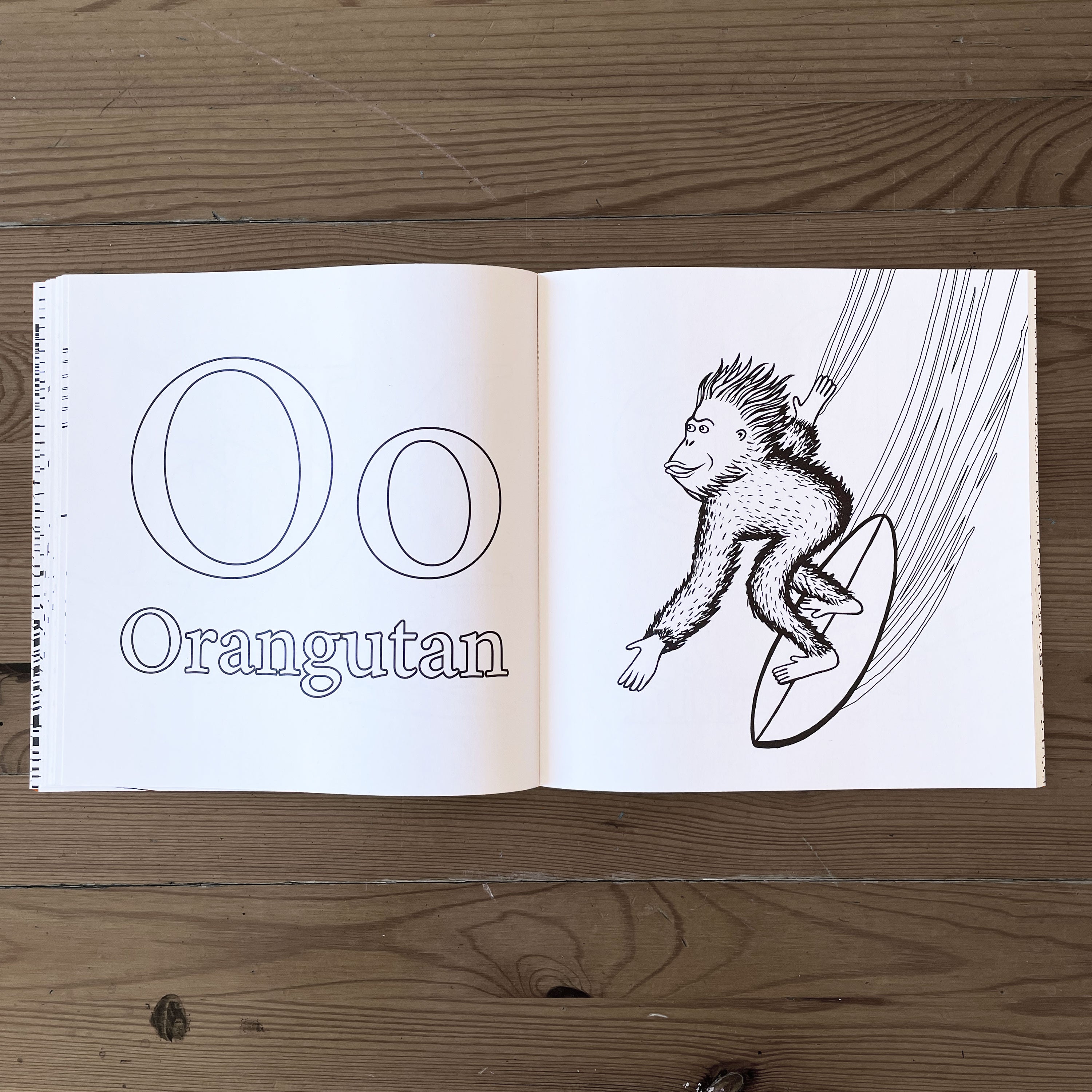 The Surfing Animals Alphabet Bundle ( 2 books )