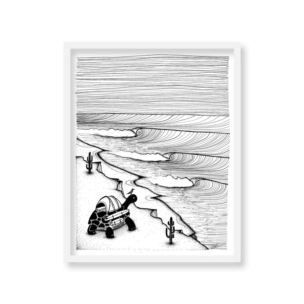 
                  
                    Turtle Tripping - Print/ Framed Print
                  
                