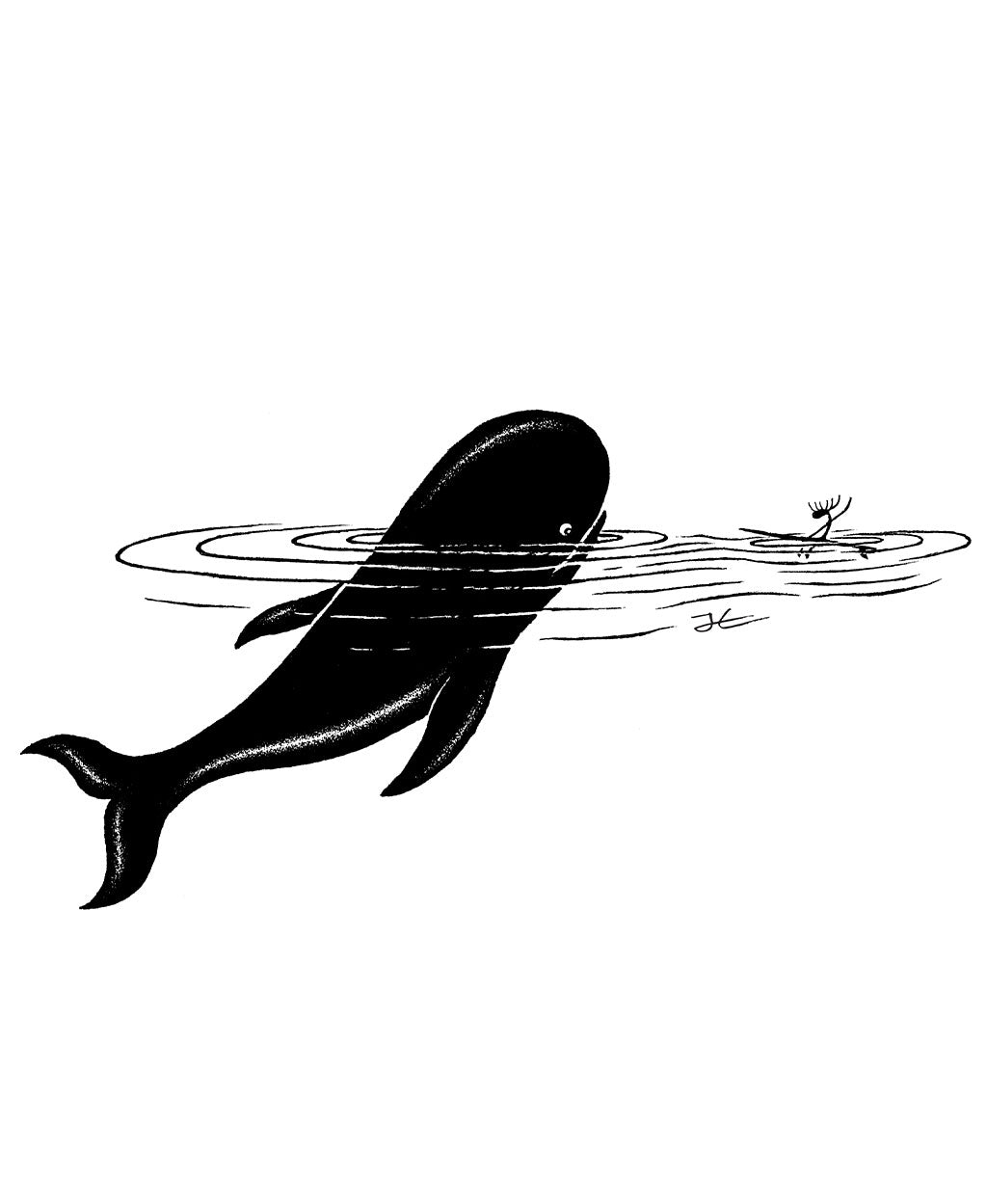 Whale Encounter - Print/ Framed Print