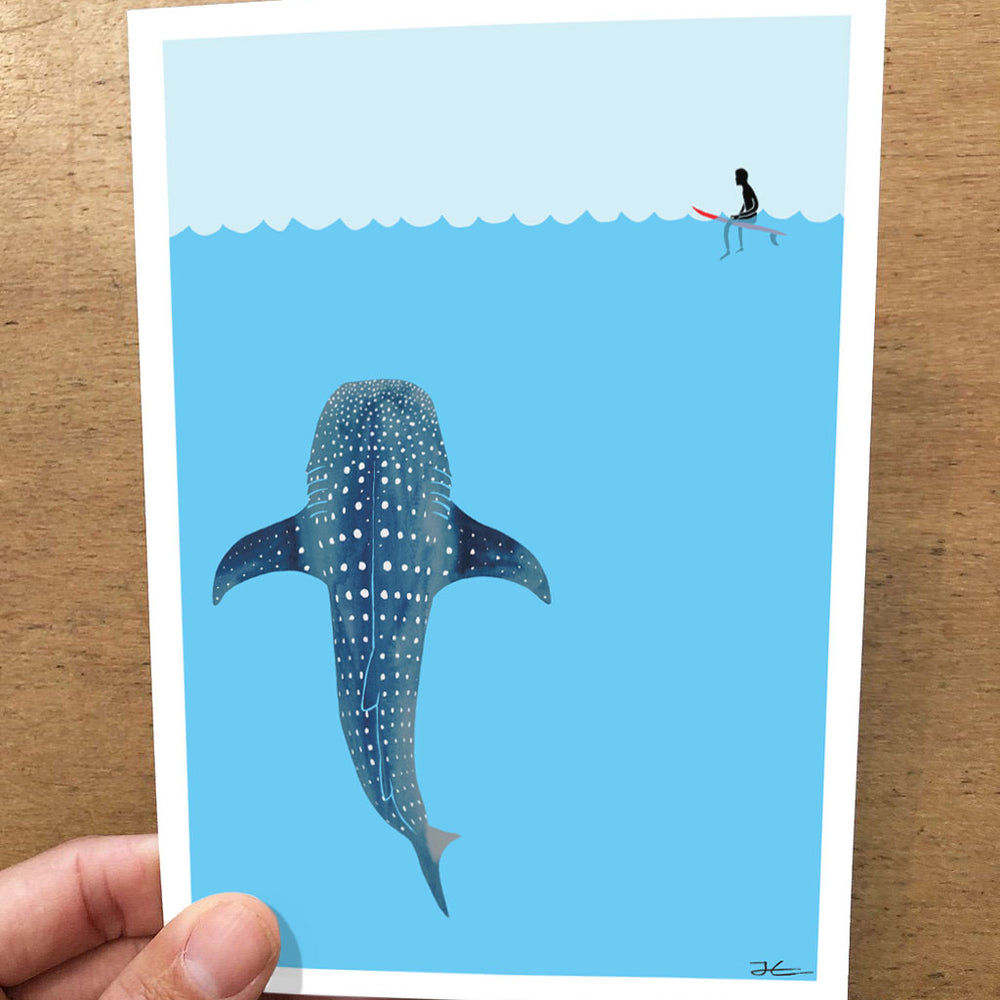 
                  
                    Whale Shark Folded Card Pack
                  
                